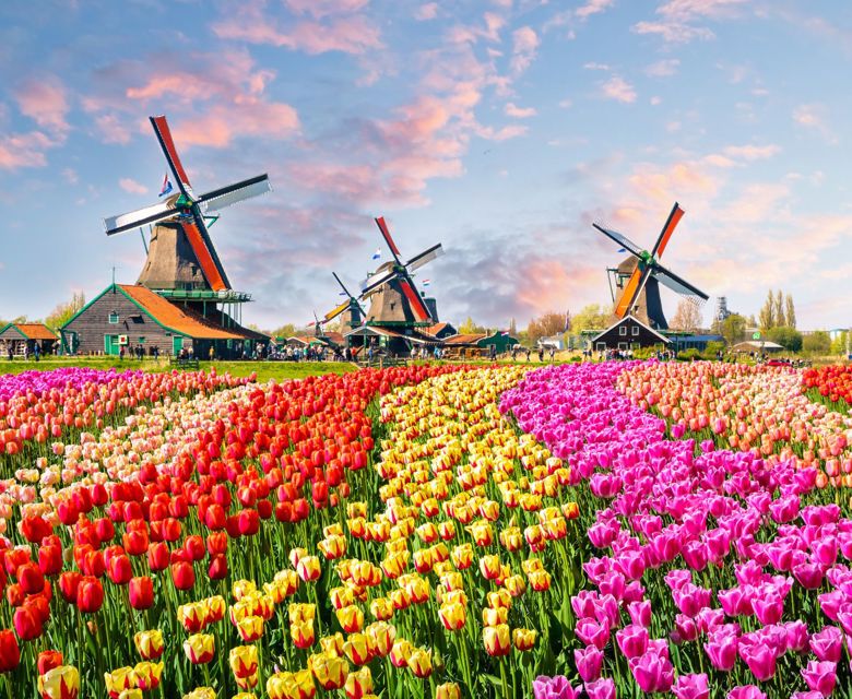 Unlock Interest-Free Shopping: Q Card's NZ Long Term Finance